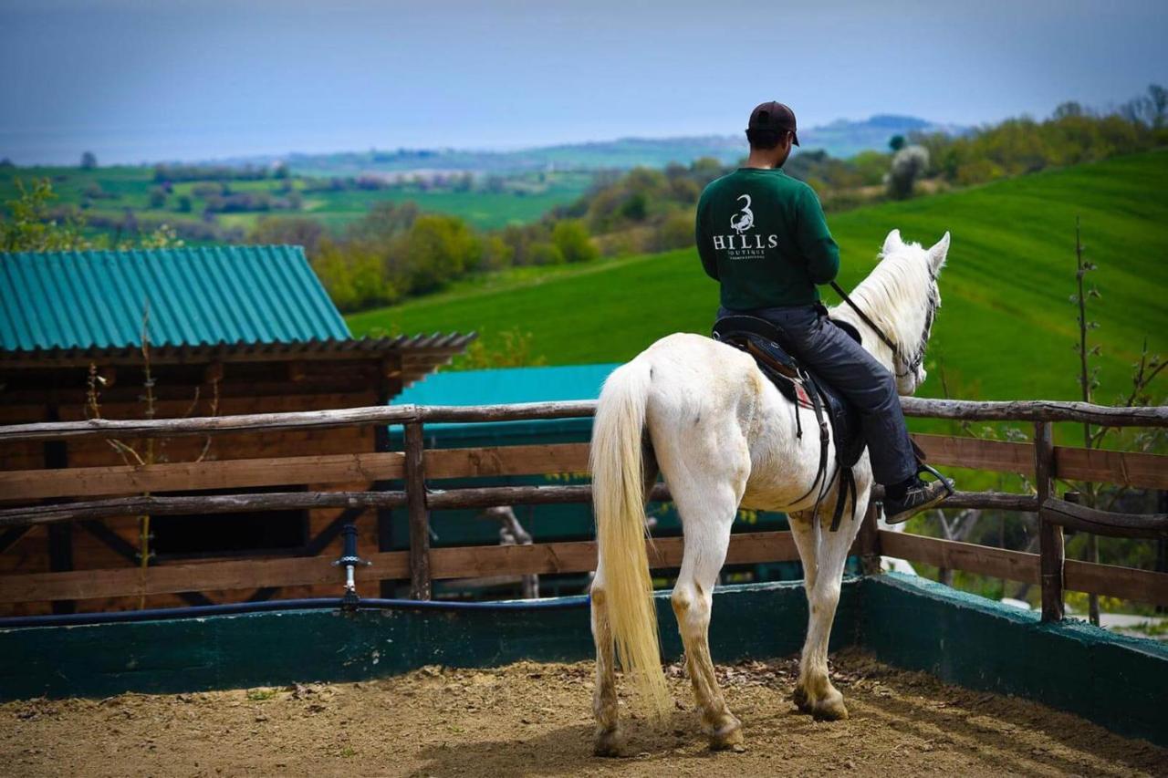 Отель 3 Hills Boutique - The Ranch Experience Trilofos Экстерьер фото